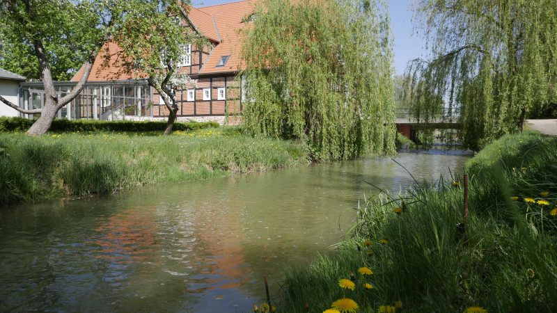 Fachwerkgebäude am Fluß mit Weiden